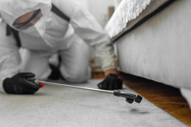 Professional Bed Bug Control technician working in Huntsville, AR
