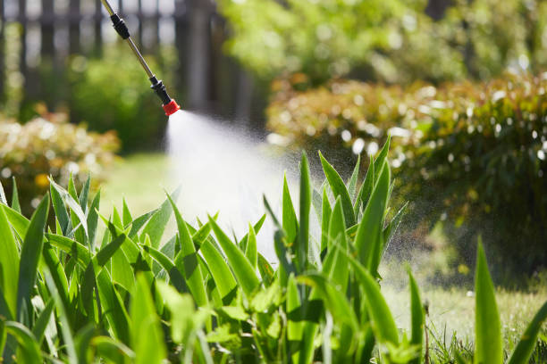 24/7 Emergency Bed Bug Control experts in Huntsville, AR