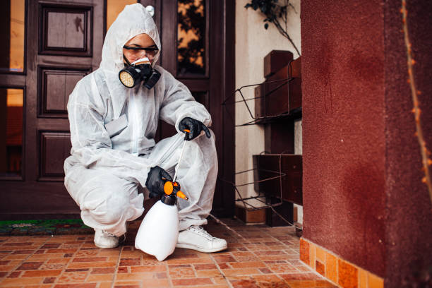 Reliable Bed Bug Control contractor in Huntsville, AR by Nex Pest Control