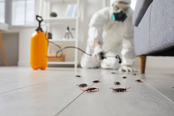 Trusted Rodent Control service in Huntsville, AR - Nex Pest Control